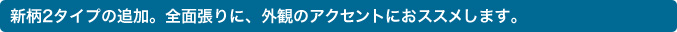 �V��2�^�C�v�̒ǉ��B�S�ʒ���ɁA�O�ς̃A�N�Z���g�ɂ��X�X�����܂��B