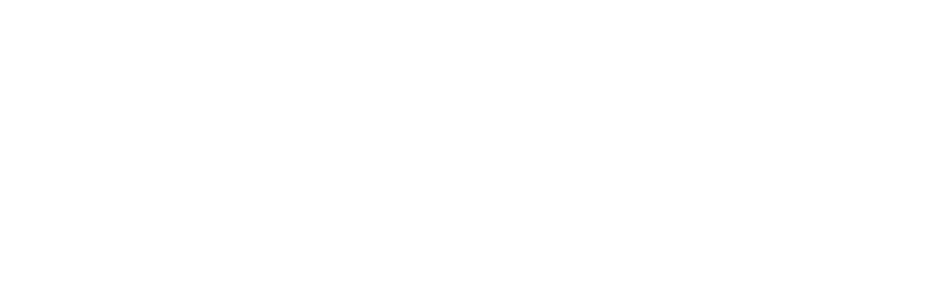 SOLIDO ZOǍށE