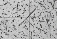 青石綿（クロシドライト）の顕微鏡写真