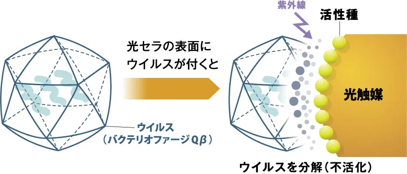 分子構造図