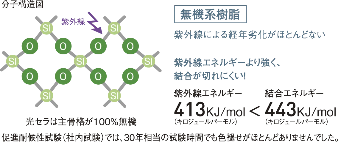 分子構造図