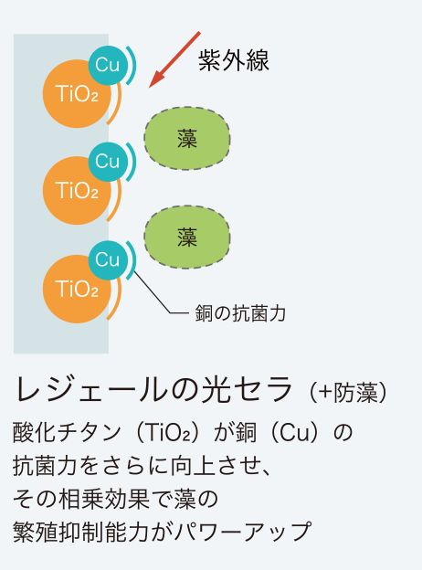 レジェールの光セラ（+抗藻）