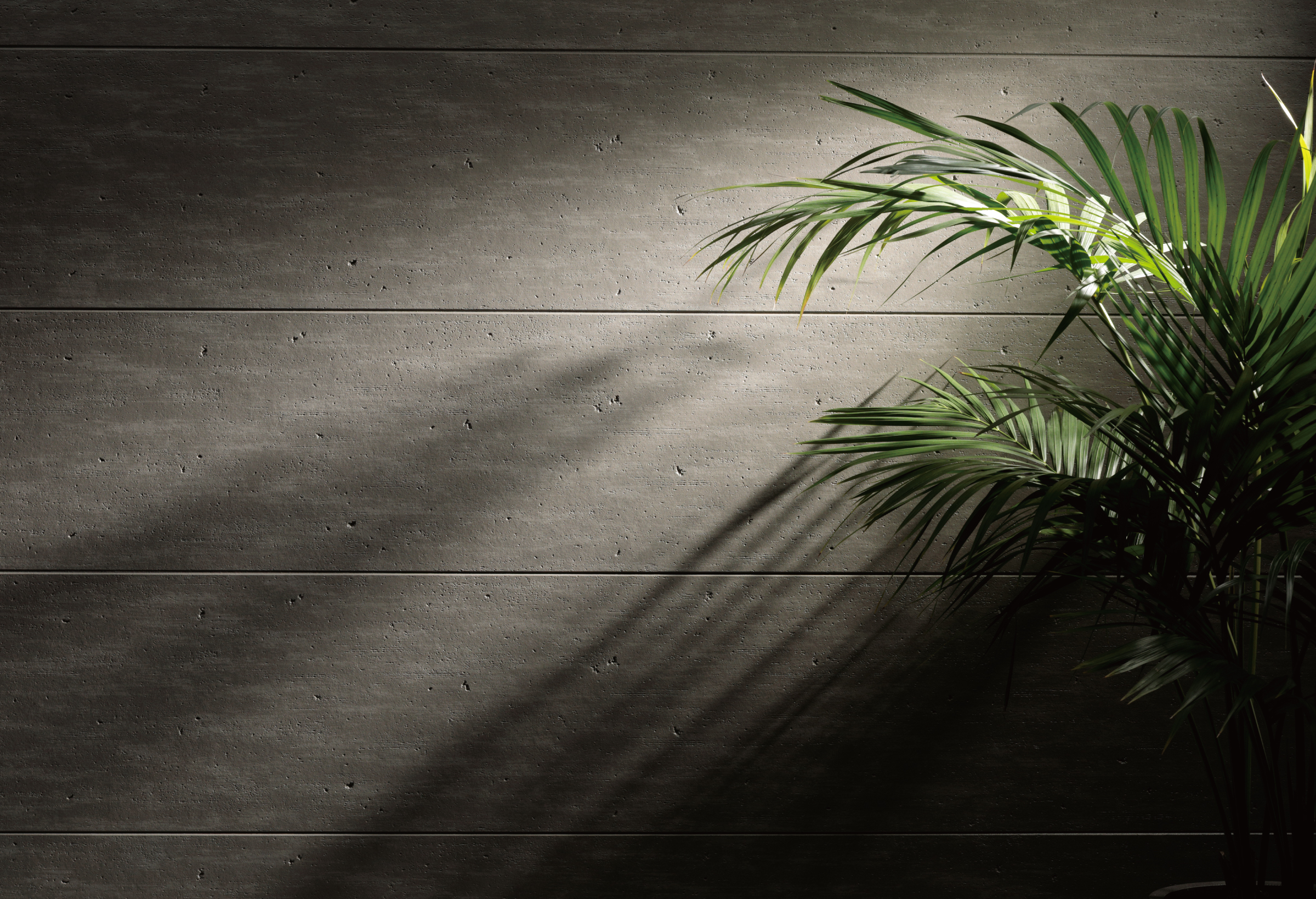 �t�B���e�N�gE�E�e��1�U �A�V�X�t���b�gFT