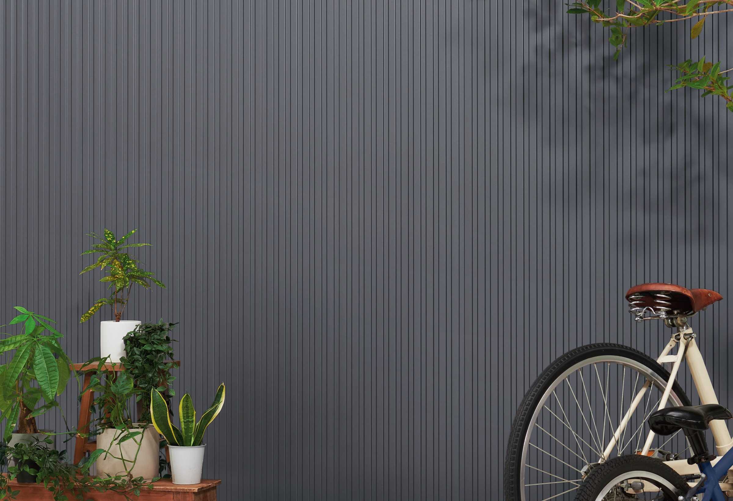 �l�I���b�N�E���Z��18 �Z���g�s�A �X���i��