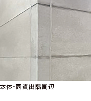 本体・同質出隅周辺