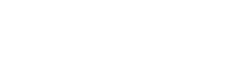 SOLIDO typeF facade