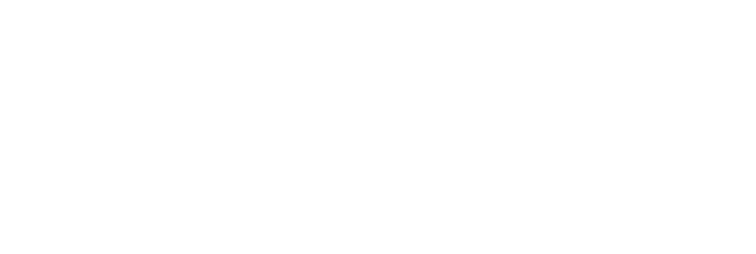 SOLIDO typeF shirasu