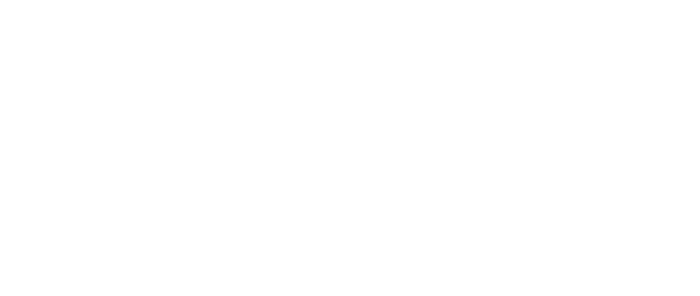 SOLIDO typeF shirasu