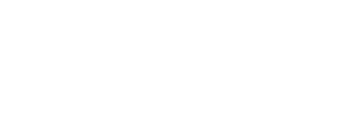 SOLIDO typeF shirasu TCN{[h