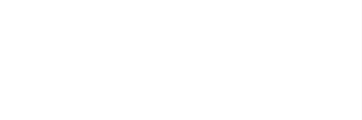 SOLIDO typeM_LAP